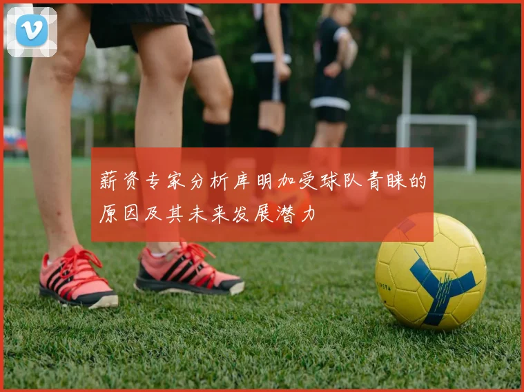 薪资专家分析库明加受球队青睐的原因及其未来发展潜力